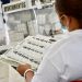 Morena confirma 6 Diputados Federales; PAN se queda con 3