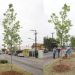 Emprenderá el Municipio campaña de reforestación
