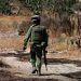 AMLO quiere que Guardia Nacional forme parte de la Sedena