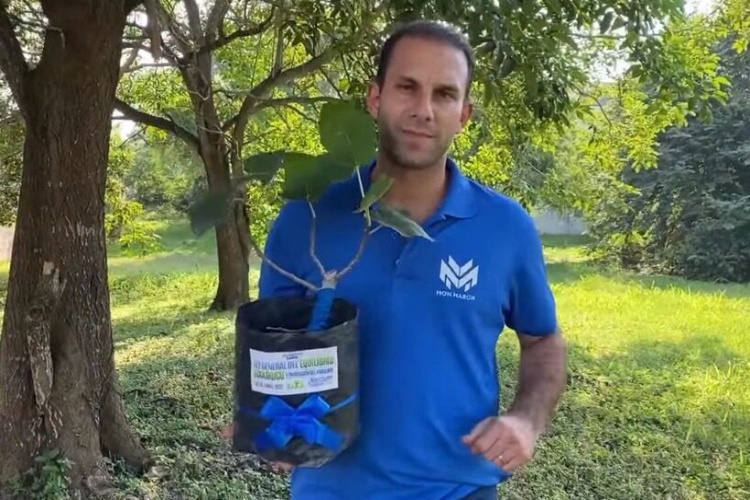 “Ley Árbol” ayudará a reducir efectos del cambio climático