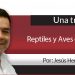 Una Tras Otra / Reptiles y Aves en Morena