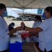 “Madrugan” cuarentones a mayores de 50 con sus vacunas