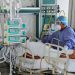 Entrega SET nombramientos a Directores y Supervisores