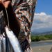 Afecta pesca ilegal al 30% de la producción en Tamaulipas