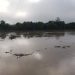 Alerta PC por aumento en nivel de Río Pánuco
