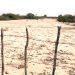 El Altiplano ante el escenario catastrófico por la sequía