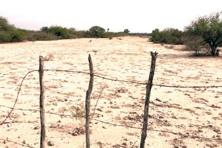 El Altiplano ante el escenario catastrófico por la sequía