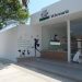 Operan con irregularidades 50% de Veterinarias en Tamaulipas