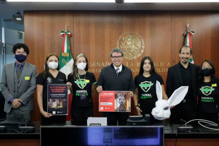 Senado aprueba revocación de mandato; Aprueba pregunta