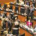 Senado aprueba revocación de mandato; Aprueba pregunta