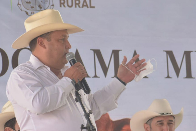 Entrega Gobierno 100 sementales de alta calidad genética