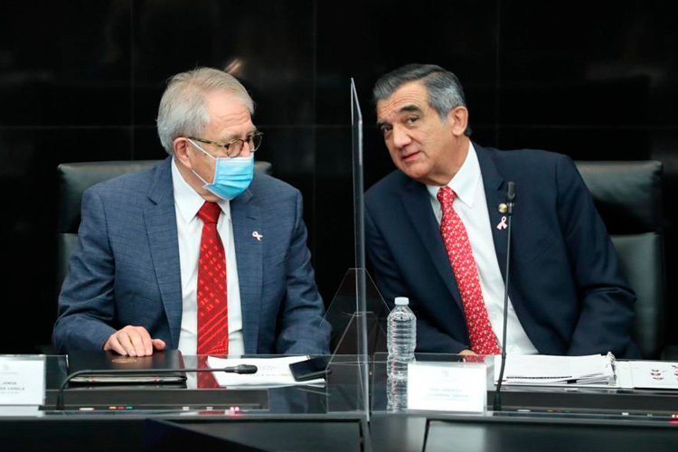 Entrega Gobierno 100 sementales de alta calidad genética