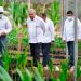 Incentivo fiscal para gasolinas será de 82.47%