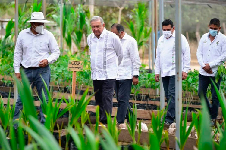 Incentivo fiscal para gasolinas será de 82.47%