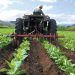 Piden a Estado y Federación crear programas tripartitas al campo