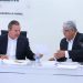 Producirán en Tamaulipas maíz blanco libre de aflatoxinas y de glifosato
