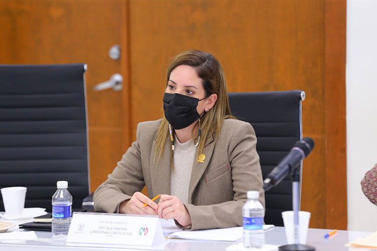 Garantizan 50 mdp a Victoria para obras de progreso: Ale Cárdenas