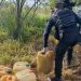 Hacen ‘barrido’ de armas y drogas en calles de Tamaulipas