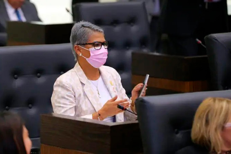 Se mantendrá diputada del sur con morena, asegura