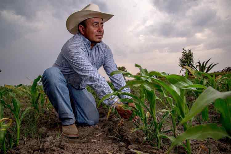 Libera Federación 196 mdp para productores del distrito 025
