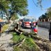Derriban fuertes vientos árboles y anuncios