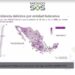 Mejoran índices de seguridad  en Tamaulipas, asegura MCSJ