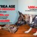 Una Tras Otra / El que paga manda