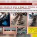 Suman 67% más armas de fuego incautadas: SSPC
