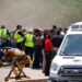 Con raíces mexicanas, mayoría de víctimas de masacre en Texas: AMLO