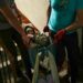 Morena recurrirá al voto de conciencia de la oposición
