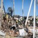 Casi 150 mil niños de 5 a 11 años, vacunados ayer, informa López-Gatell