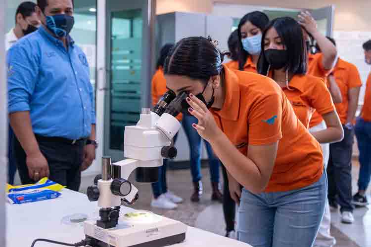 Difunde UAT avances de investigaciones en entomología