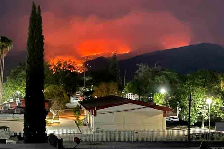 Suma Tamaulipas 4 incendios forestales