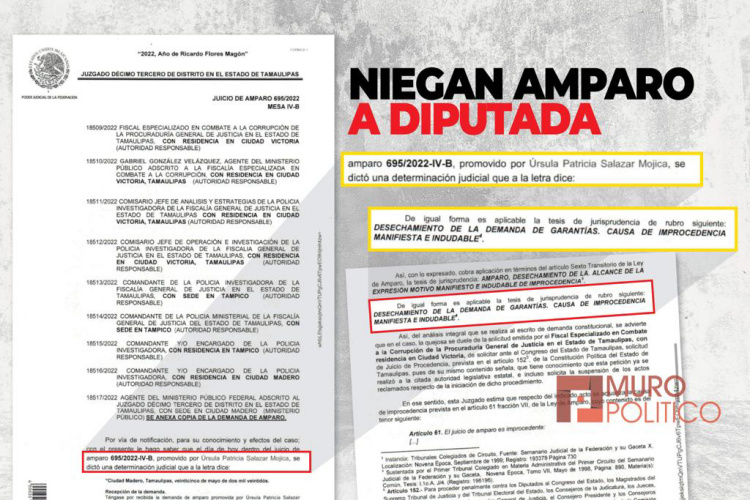 Niega Juez Federal amparo a Diputada de Morena