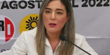 Necesario hablar sobre una reforma electoral integral: Dania Ravel
