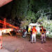 Cae árbol de 100 años de antigüedad  en Ciudad Madero