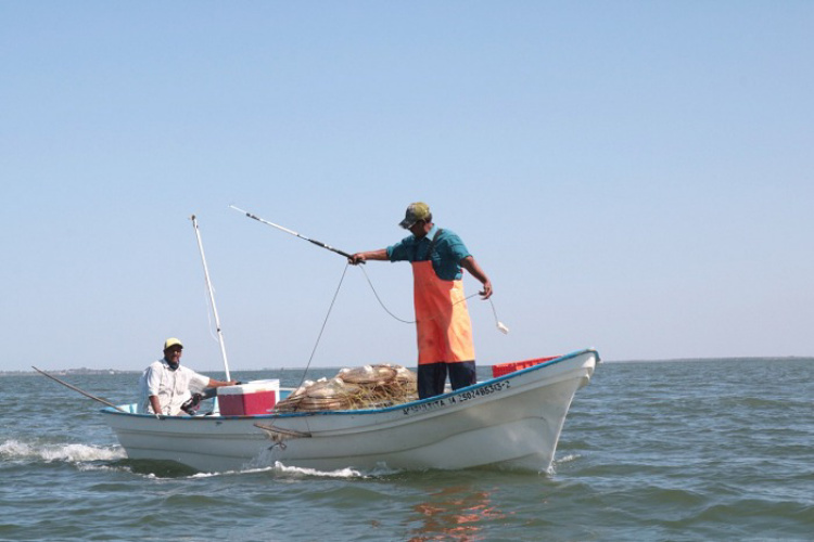 Buscan ‘fiscalizar’ “BIENPESCA”; no llega a pescadores: Marina