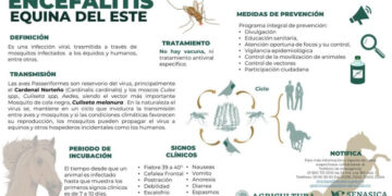 Detectan “Encefalitis Equina del Este” en Aldama