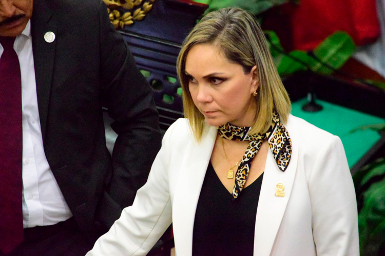 Panistas defienden FIAT entregadas a Notarios Públicos