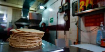 Precio de la tortilla, lejos de una baja considerable