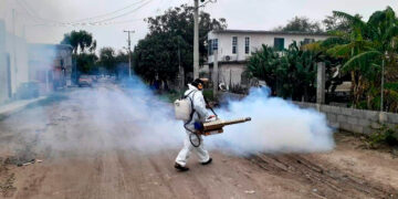 Sin confirmar presunta muerte por dengue: SST