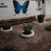 Crean en la UAT espacio ambiental y sustentable para especies polinizadoras