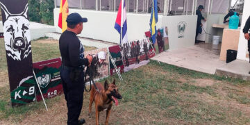 Binomio canino de la Guardia Estatal asiste a Diplomado Nacional para Perros Multipropósito
