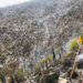 Controlan incendio en Bustamante; consumió 40 hectáreas