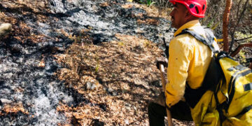 Han controlado el 70% del incendio en Miquihuana