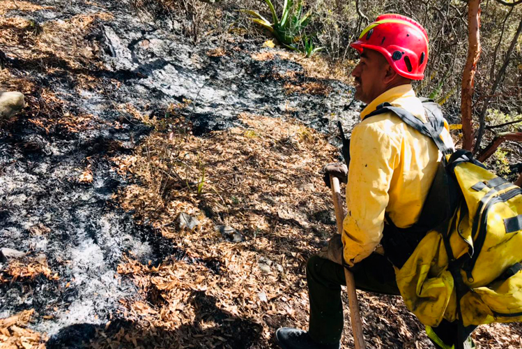 Han controlado el 70% del incendio en Miquihuana