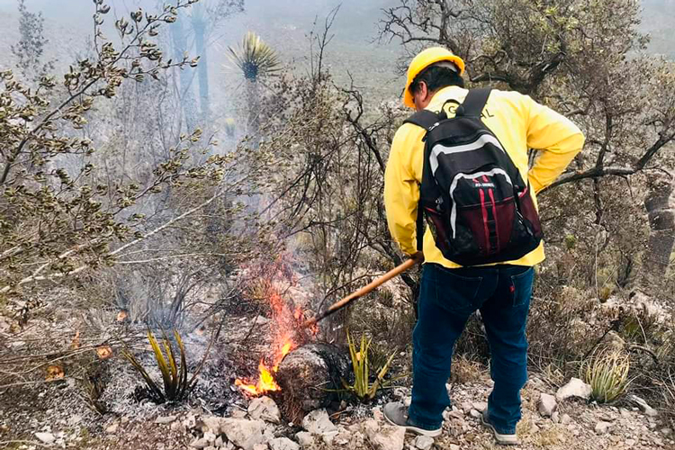 Avanza incendio en Miquihuana; consume 60 hectáreas
