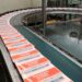 Comité a modo evaluará a los relevos en INE