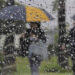Lluvias aunque sean leves ayudan al campo