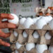 La inflación cedió, pero el huevo no baja
